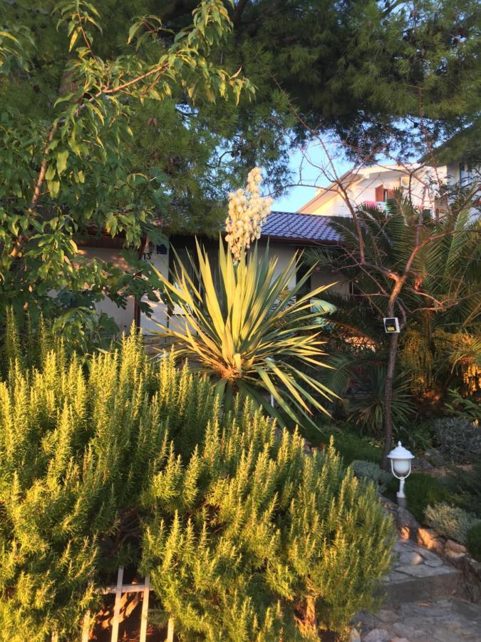 Beach House Starigrad Paklenica Exterior foto