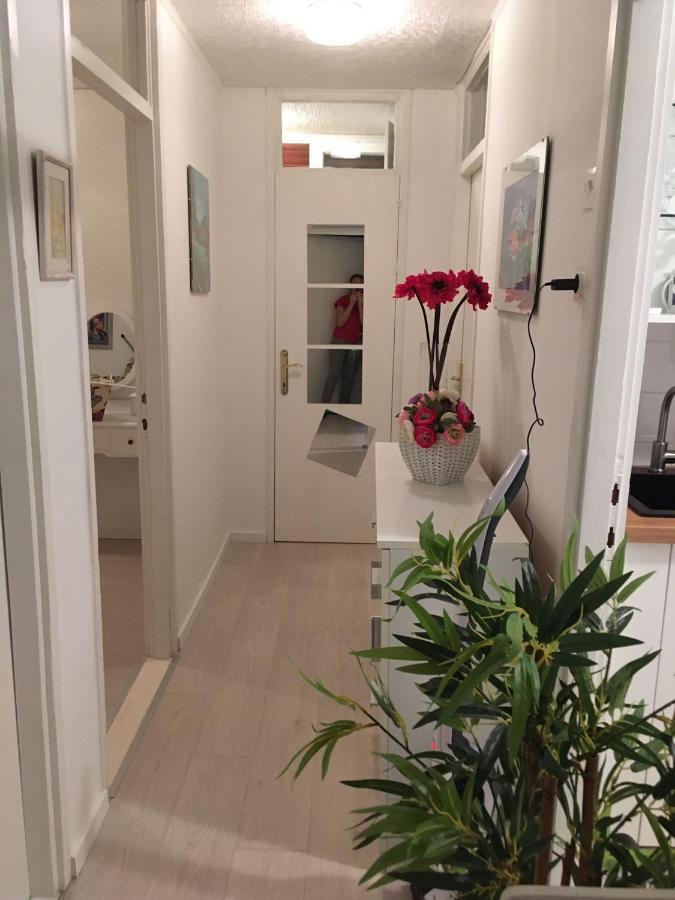 Beach House Starigrad Paklenica Exterior foto
